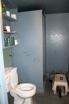 The shower is behind the toilet there...